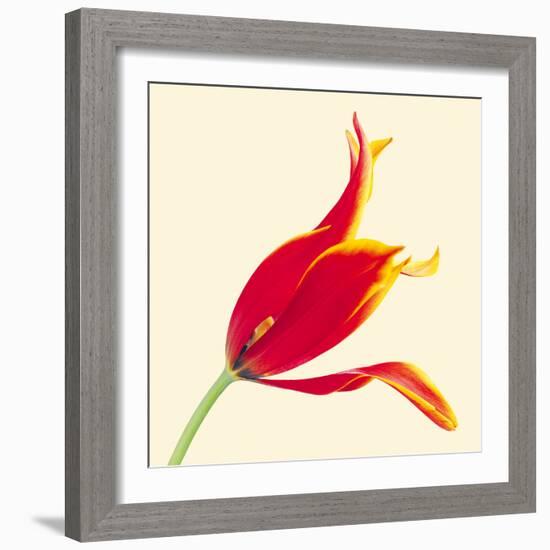 Bloom VI-Max Carter-Framed Giclee Print