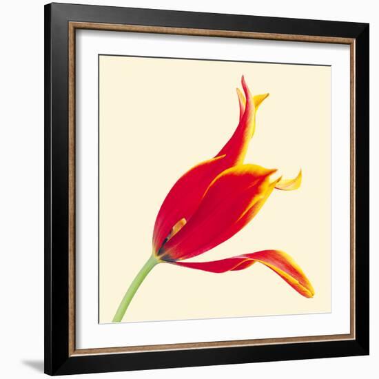 Bloom VI-Max Carter-Framed Giclee Print