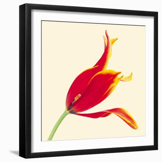Bloom VI-Max Carter-Framed Giclee Print