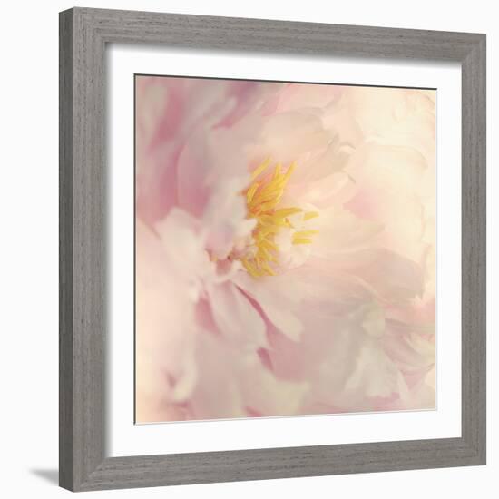 Bloom-Sarah Gardner-Framed Photo