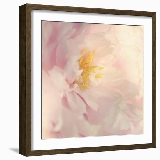 Bloom-Sarah Gardner-Framed Photo