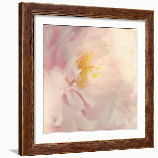 Bloom-Sarah Gardner-Framed Photo