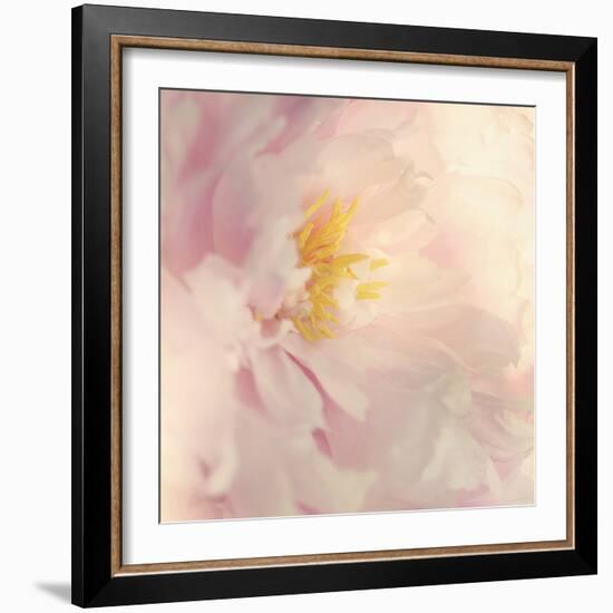 Bloom-Sarah Gardner-Framed Photo