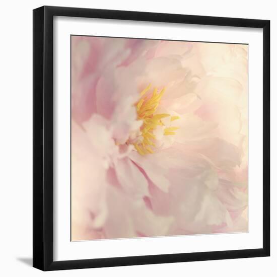 Bloom-Sarah Gardner-Framed Photo