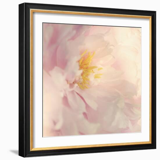 Bloom-Sarah Gardner-Framed Photo