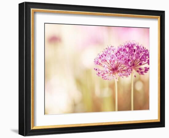 Bloom-Carolyn Cochrane-Framed Photographic Print