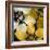 Bloomer Tile IX-James Burghardt-Framed Art Print