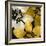 Bloomer Tile IX-James Burghardt-Framed Art Print