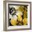 Bloomer Tile IX-James Burghardt-Framed Art Print