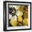 Bloomer Tile IX-James Burghardt-Framed Art Print