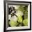 Bloomer Tile V-James Burghardt-Framed Art Print