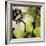 Bloomer Tile V-James Burghardt-Framed Art Print