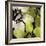 Bloomer Tile V-James Burghardt-Framed Art Print