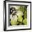 Bloomer Tile V-James Burghardt-Framed Art Print