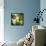 Bloomer Tiles V-James Burghardt-Framed Stretched Canvas displayed on a wall