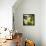 Bloomer Tiles V-James Burghardt-Framed Stretched Canvas displayed on a wall