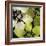 Bloomer Tiles V-James Burghardt-Framed Art Print