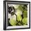 Bloomer Tiles V-James Burghardt-Framed Art Print