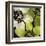 Bloomer Tiles V-James Burghardt-Framed Art Print