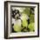 Bloomer Tiles V-James Burghardt-Framed Art Print