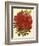 Blooming Azalea I-Vision Studio-Framed Art Print