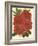 Blooming Azalea IV-Vision Studio-Framed Art Print