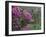 Blooming Azaleas on Middleton Plantation, South Carolina, USA-Nancy Rotenberg-Framed Photographic Print