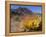 Blooming Barrel Cactus at Anza-Borrego Desert State Park, California, USA-Kymri Wilt-Framed Premier Image Canvas