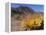 Blooming Barrel Cactus at Anza-Borrego Desert State Park, California, USA-Kymri Wilt-Framed Premier Image Canvas