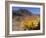 Blooming Barrel Cactus at Anza-Borrego Desert State Park, California, USA-Kymri Wilt-Framed Photographic Print