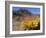 Blooming Barrel Cactus at Anza-Borrego Desert State Park, California, USA-Kymri Wilt-Framed Photographic Print