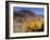 Blooming Barrel Cactus at Anza-Borrego Desert State Park, California, USA-Kymri Wilt-Framed Photographic Print