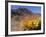 Blooming Barrel Cactus at Anza-Borrego Desert State Park, California, USA-Kymri Wilt-Framed Photographic Print