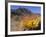 Blooming Barrel Cactus at Anza-Borrego Desert State Park, California, USA-Kymri Wilt-Framed Photographic Print