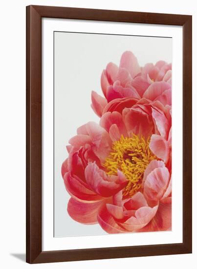 Blooming Beauty-Irene Suchocki-Framed Giclee Print