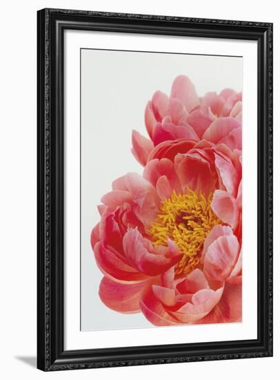 Blooming Beauty-Irene Suchocki-Framed Giclee Print