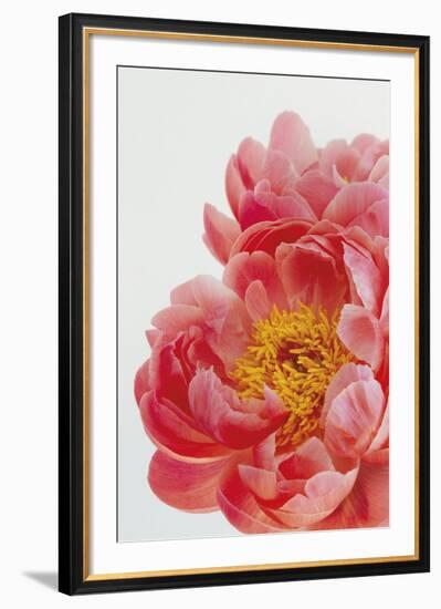 Blooming Beauty-Irene Suchocki-Framed Giclee Print