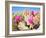 Blooming Beavertail Cactus in Mojave Desert.-Anton Foltin-Framed Photographic Print