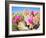 Blooming Beavertail Cactus in Mojave Desert.-Anton Foltin-Framed Photographic Print