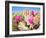 Blooming Beavertail Cactus in Mojave Desert.-Anton Foltin-Framed Photographic Print