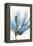 Blooming Blue Flower I-null-Framed Stretched Canvas