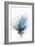 Blooming Blue Flower II-null-Framed Art Print