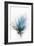 Blooming Blue Flower II-null-Framed Art Print