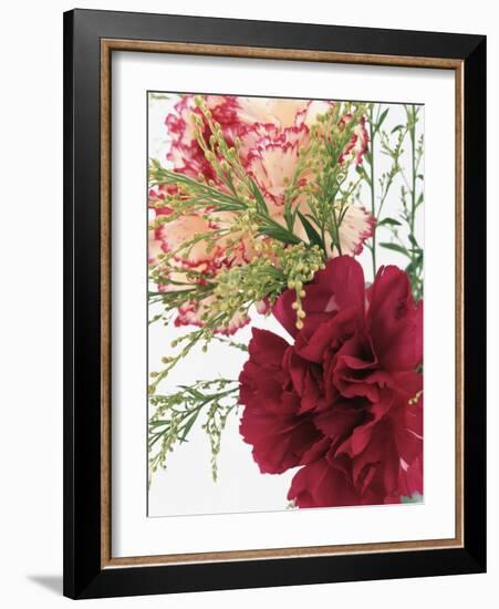 Blooming Carnations-null-Framed Photographic Print