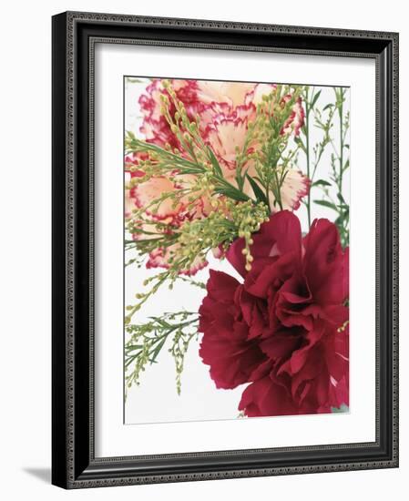 Blooming Carnations-null-Framed Photographic Print