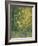 Blooming Chestnut Tree-Alexander Yakovlevich Golovin-Framed Giclee Print