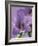 Blooming Delphinium-null-Framed Photographic Print