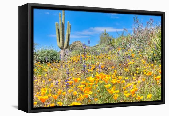 Blooming Desert-Anton Foltin-Framed Premier Image Canvas