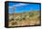 Blooming Desert-Anton Foltin-Framed Premier Image Canvas