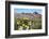 Blooming Desert-Anton Foltin-Framed Photographic Print